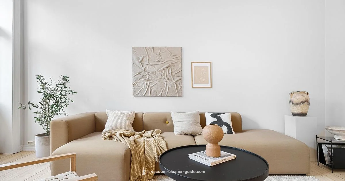 Clean Carpet Guide - Vacuum Cleaner Guide