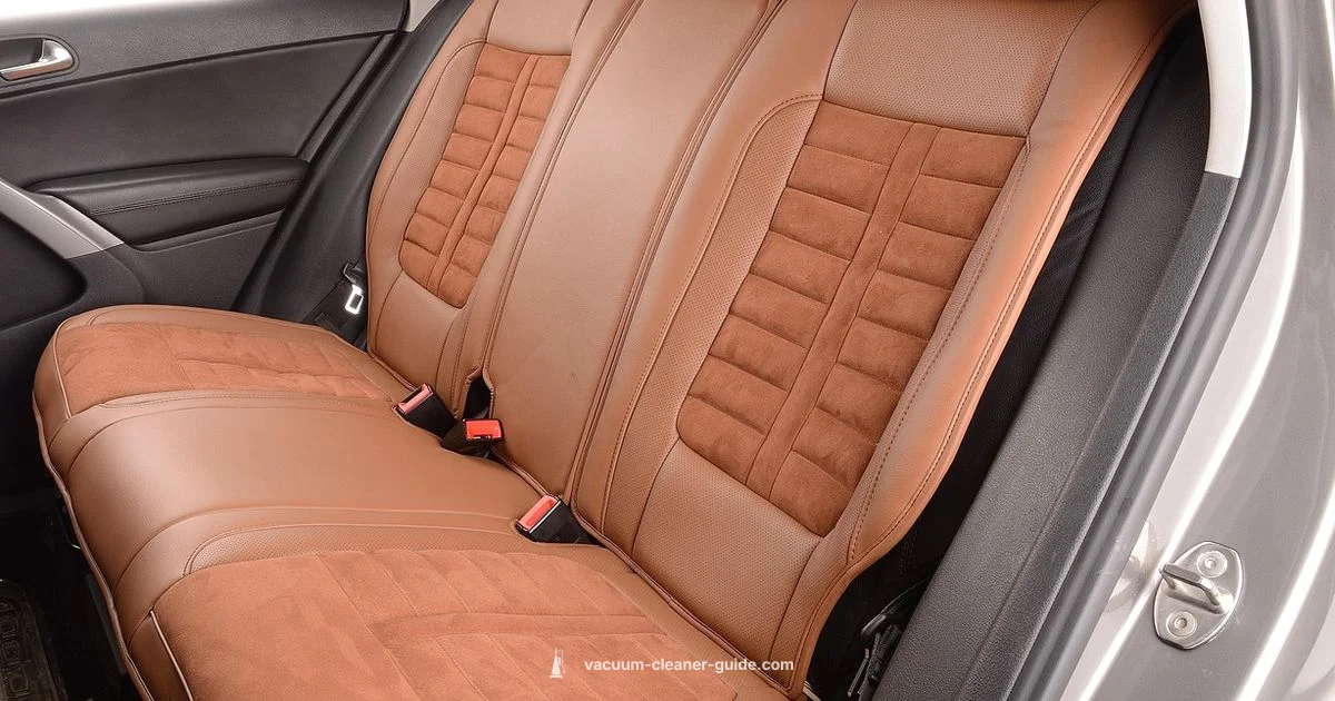 Handheld Car Vac Guide Handheld Car Vac Guide - Vacuum Cleaner Guide