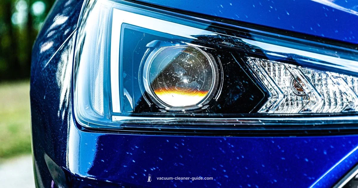 Renting a Vacuum - Vacuum Cleaner Guide