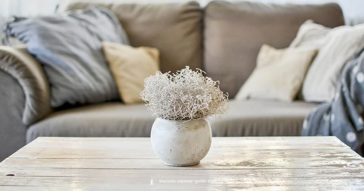 Aquarium Vacuum Guide - Vacuum Cleaner Guide