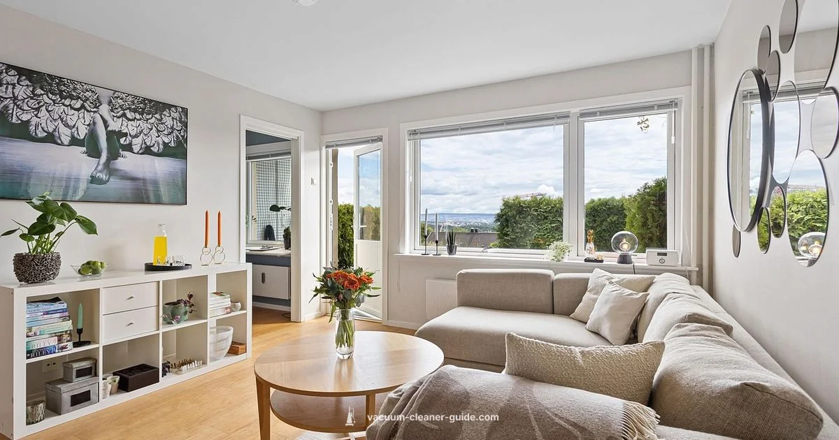 Best Carpet Vacuum 2026 - Vacuum Cleaner Guide