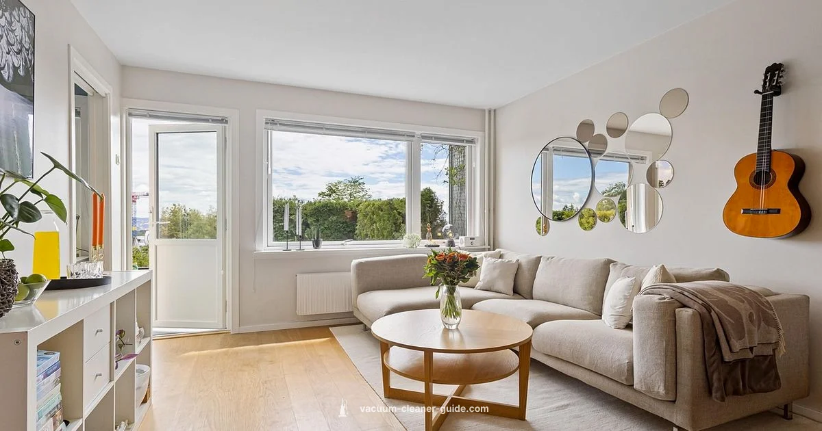 Carpet Care Checklist - Vacuum Cleaner Guide