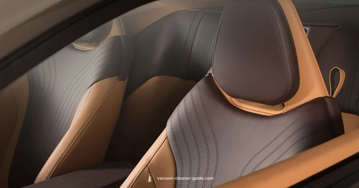 Interior Car Vacuum Picks - Vacuum Cleaner Guide