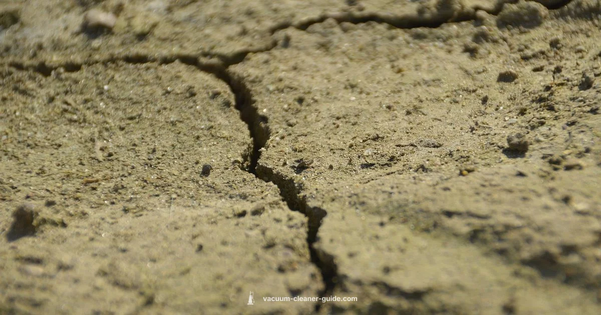 Wet and Dry Vacuum - Vacuum Cleaner Guide