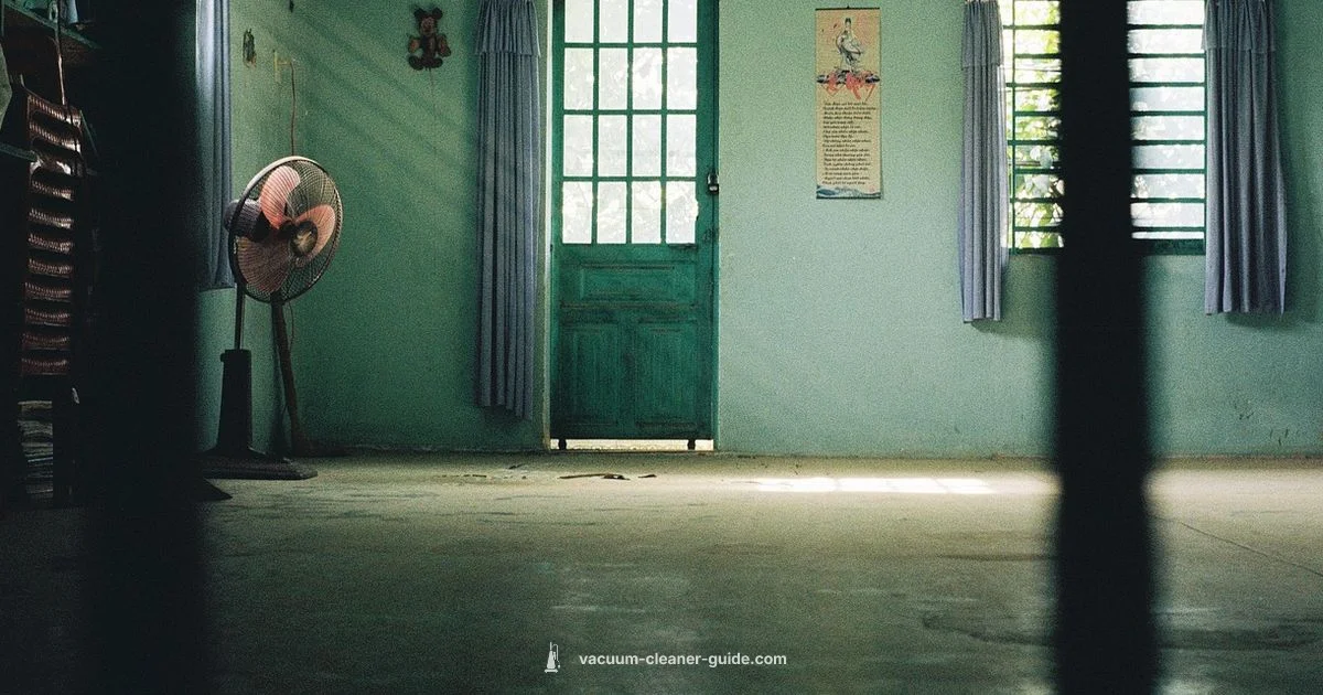 Dust Mite Cleanup - Vacuum Cleaner Guide