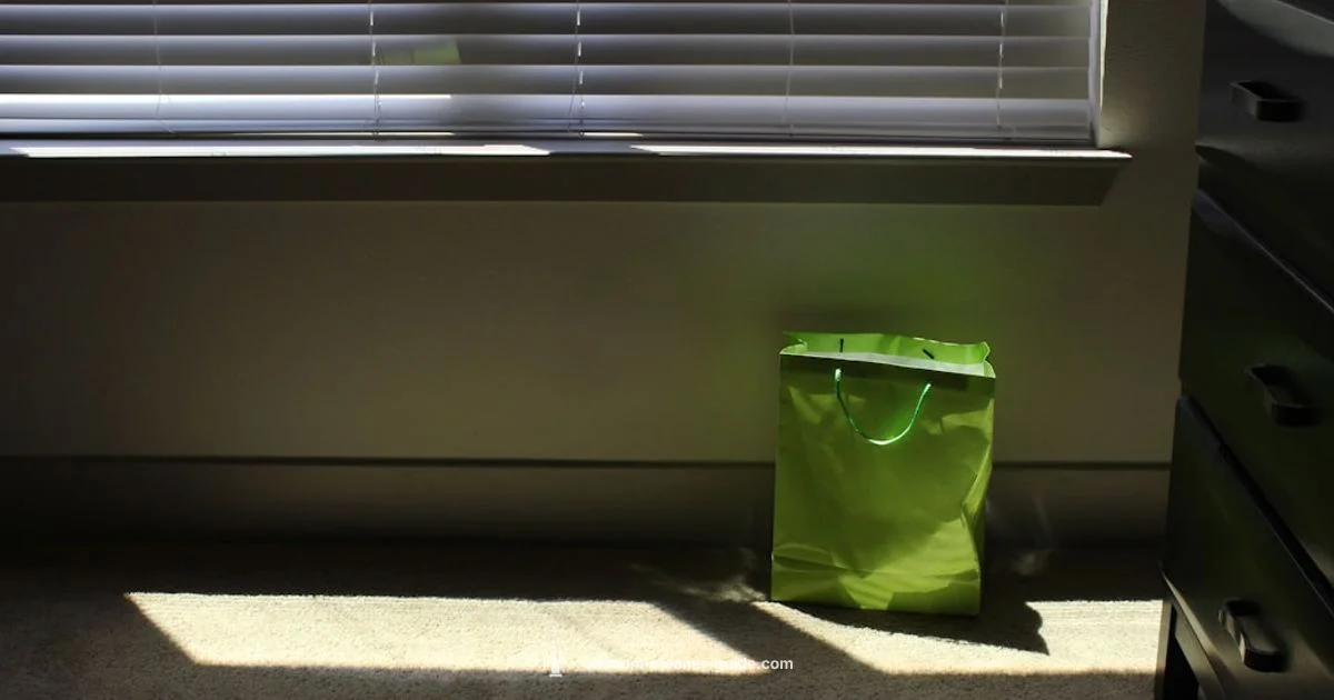 Back Vacuum Bag - Vacuum Cleaner Guide