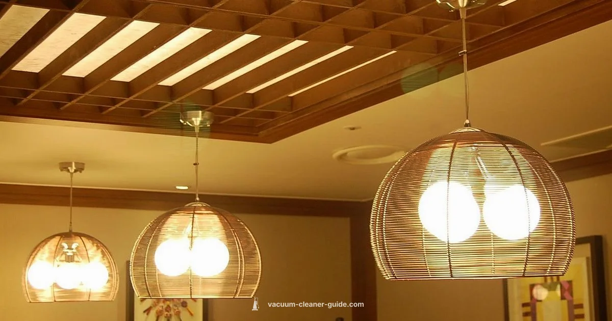 Cleaner Living Space - Vacuum Cleaner Guide