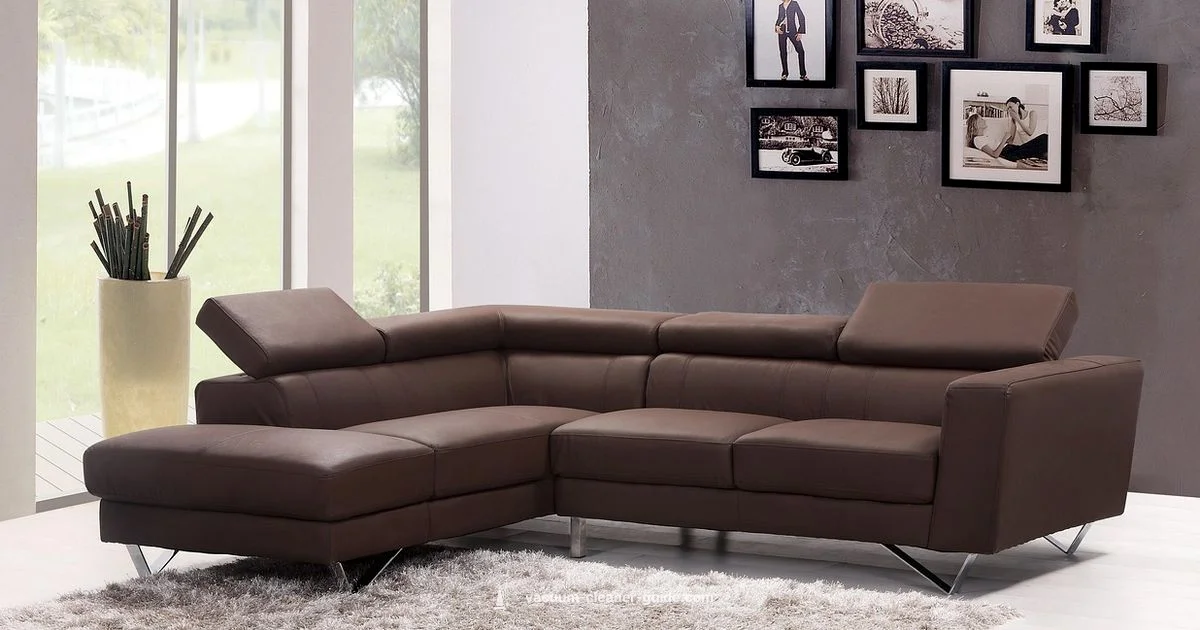 Carpet Care DIY - Vacuum Cleaner Guide