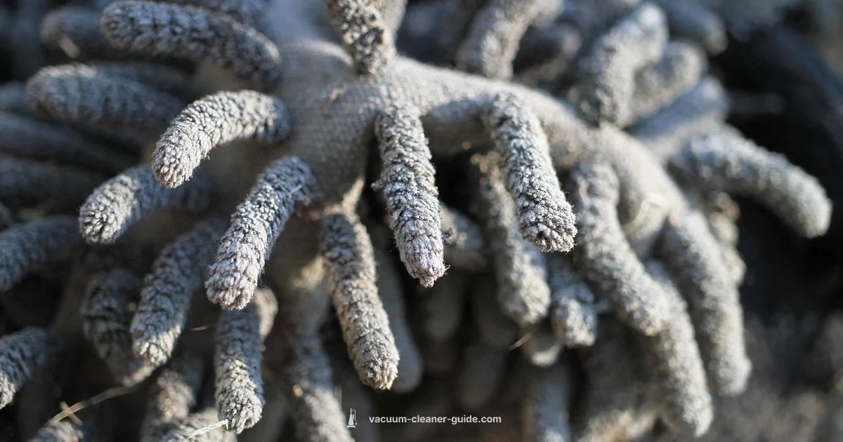 Combo Cleaning Power - Vacuum Cleaner Guide