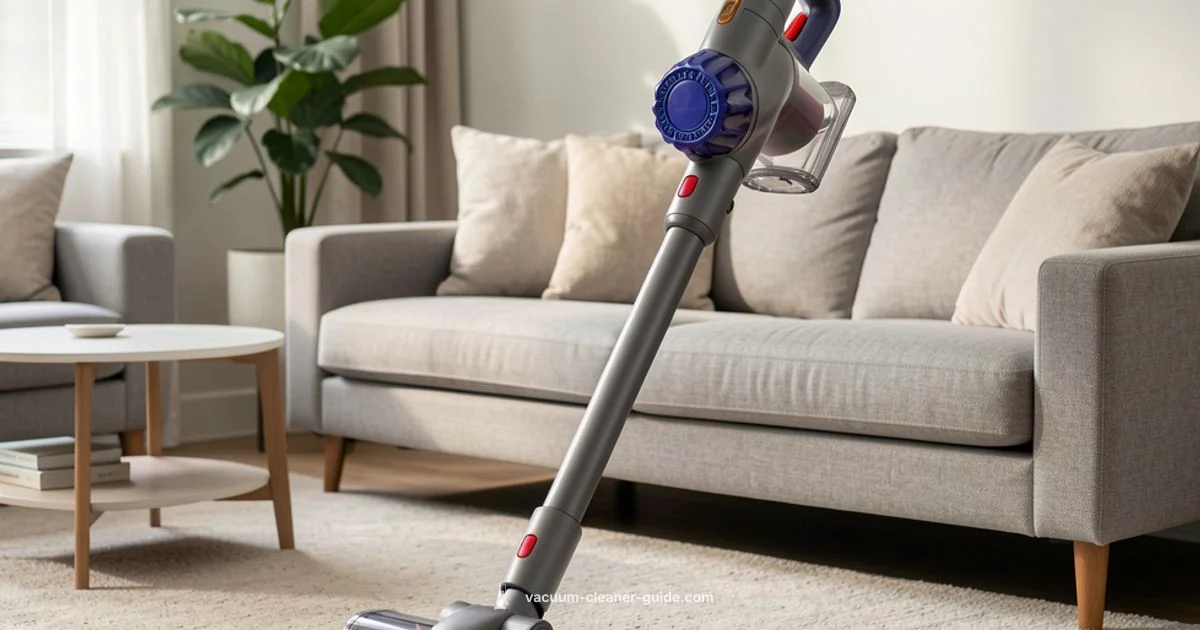 Lightweight Dyson Overview - Vacuum Cleaner Guide