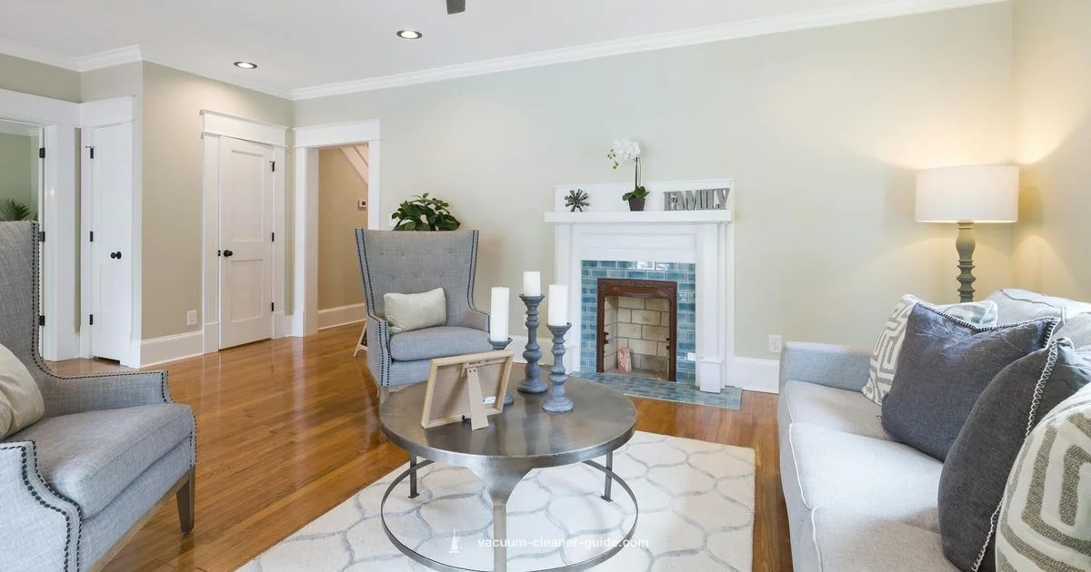 All-Surface Vacuum Guide - Vacuum Cleaner Guide