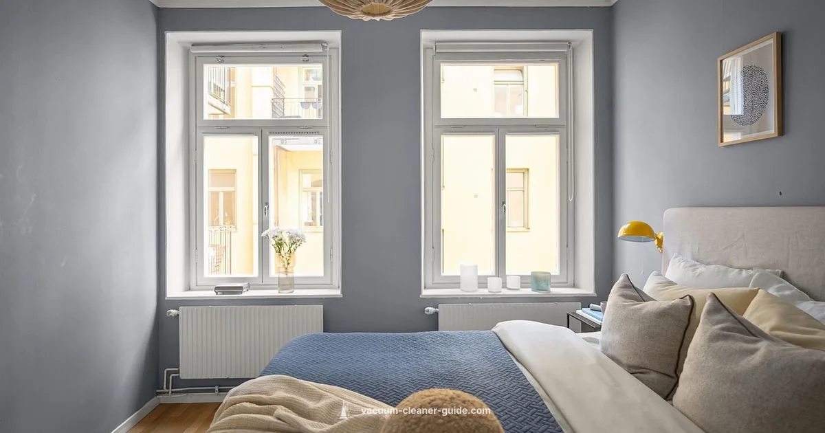 Top Vacuum Picks - Vacuum Cleaner Guide