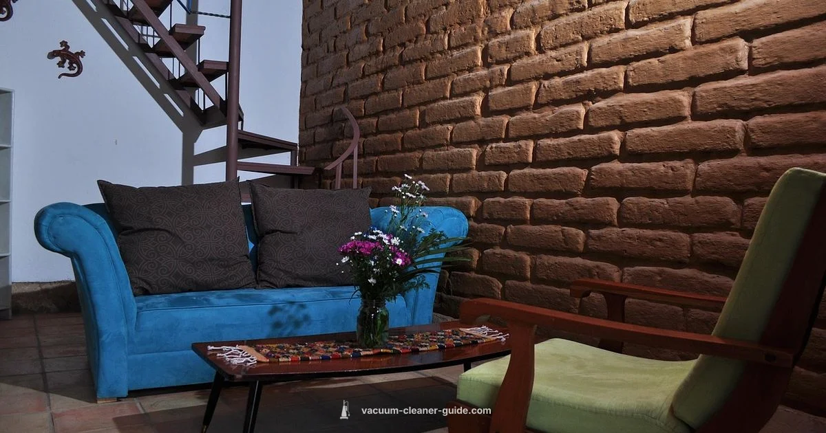 Pet Hair Power Pet Hair Power - Vacuum Cleaner Guide