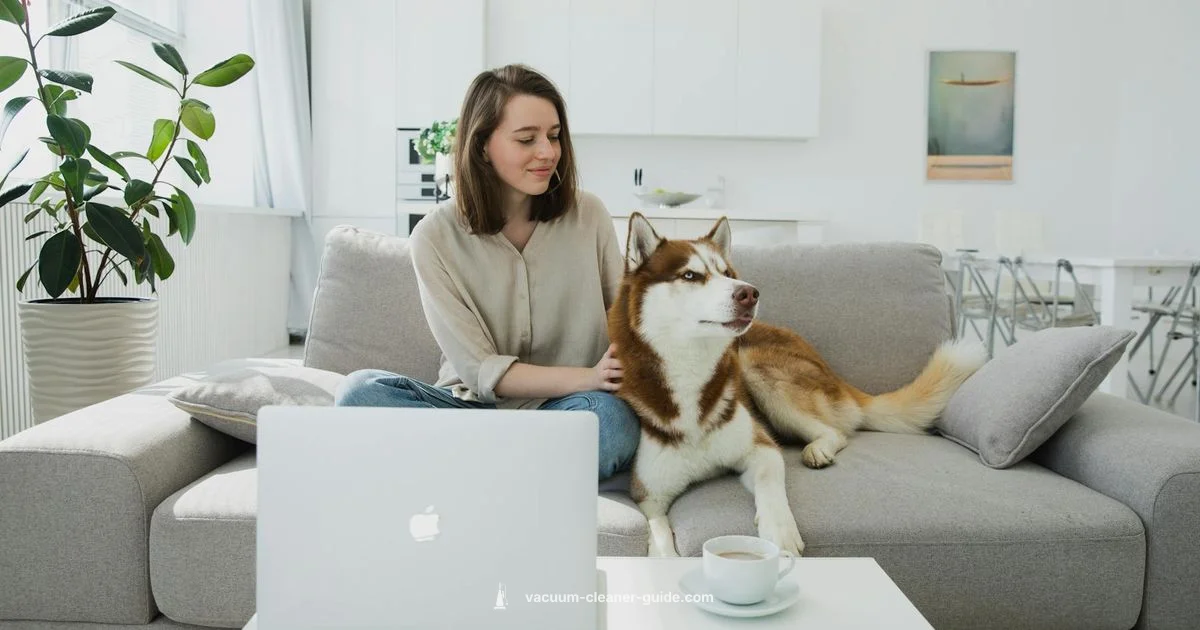 Dyson V10 Review - Vacuum Cleaner Guide