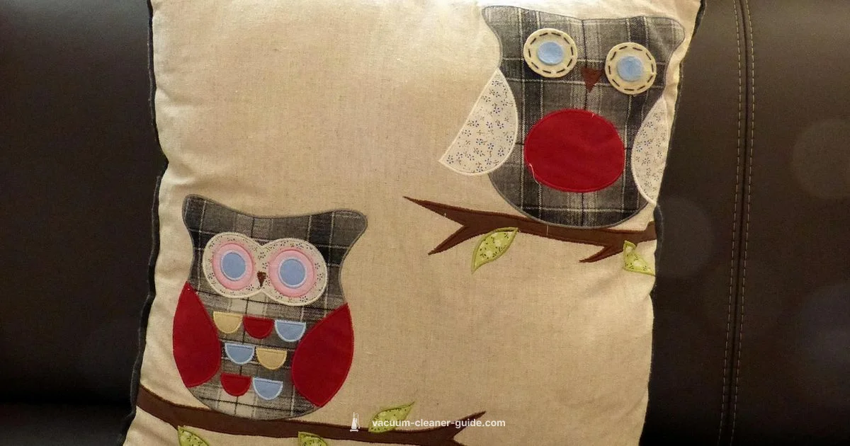 Couch Cleaning Guide - Vacuum Cleaner Guide