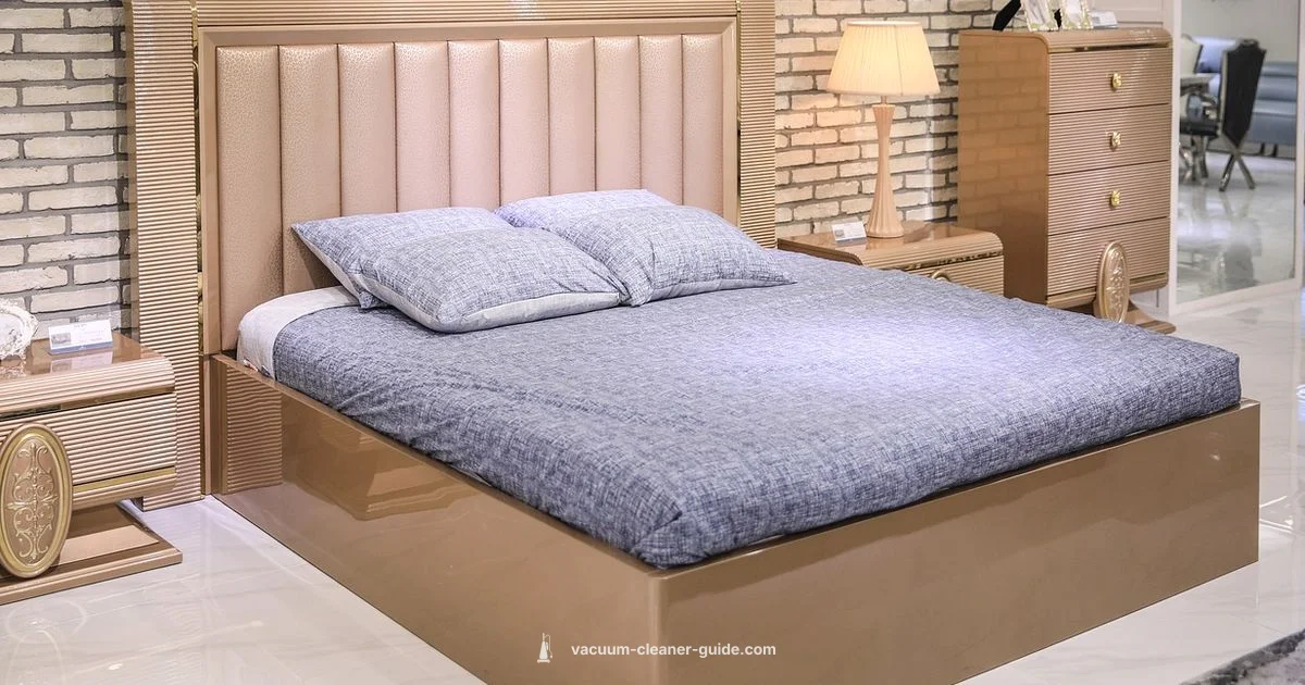 Bed Bug Vacuuming - Vacuum Cleaner Guide