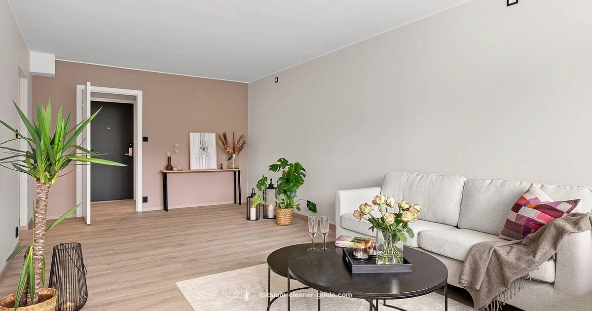 Best Carpet Cleaners 2026 - Vacuum Cleaner Guide