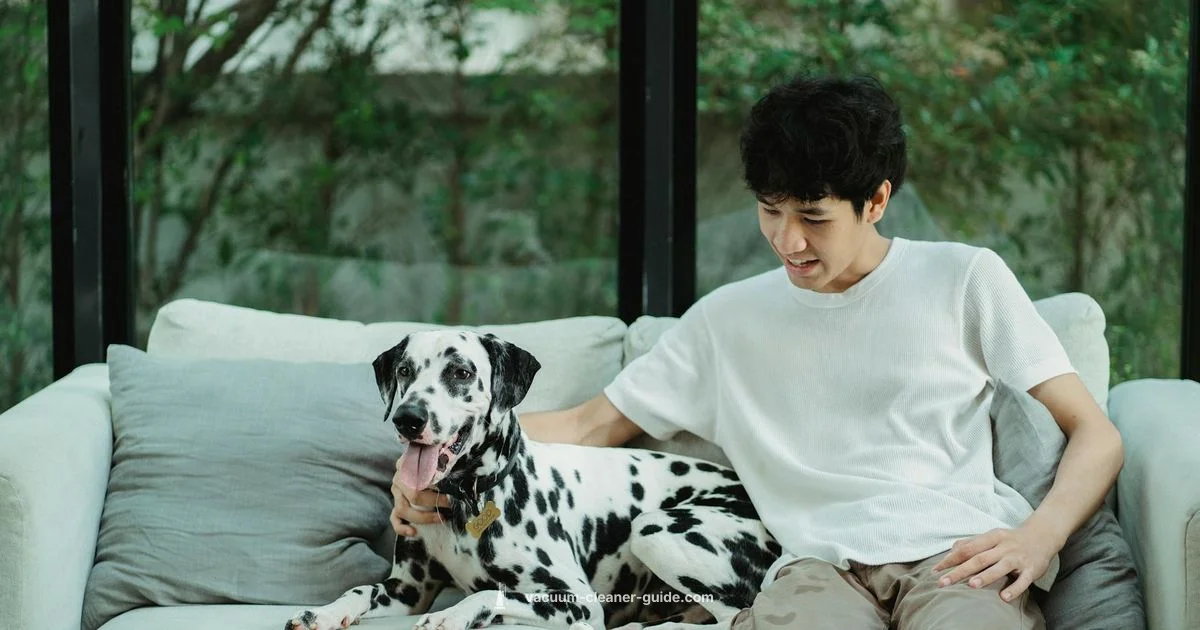 Pet Hair Power Pet Hair Power - Vacuum Cleaner Guide