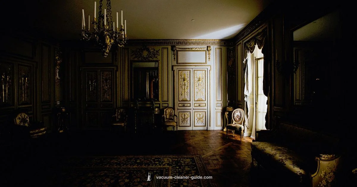 Home Carpet Cleaning - Vacuum Cleaner Guide