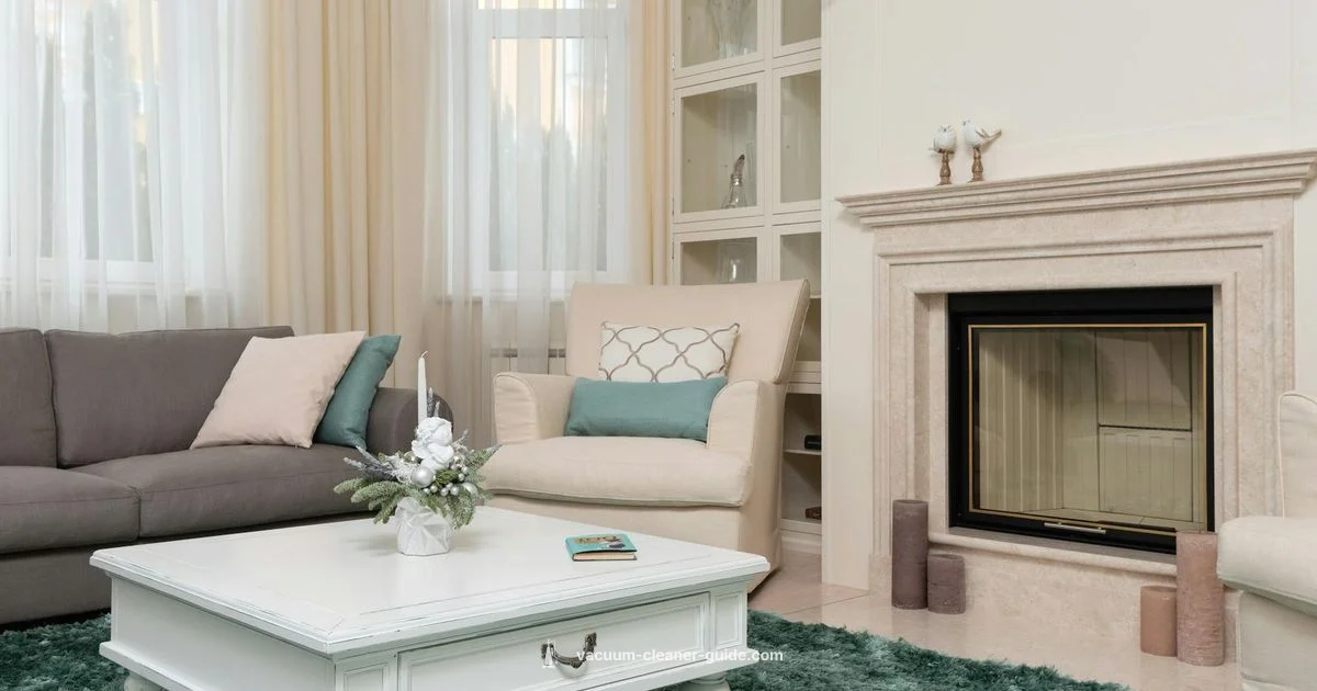 Top Carpet Cleaners 2026 - Vacuum Cleaner Guide