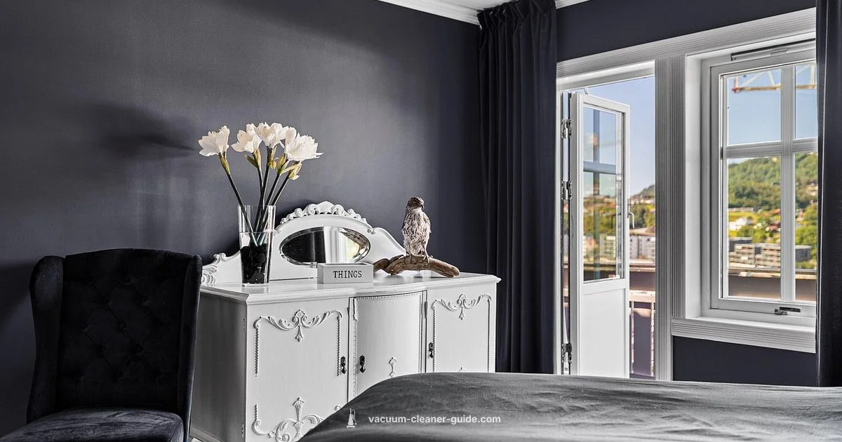 Vacuum Cleaner vs Robot - Vacuum Cleaner Guide