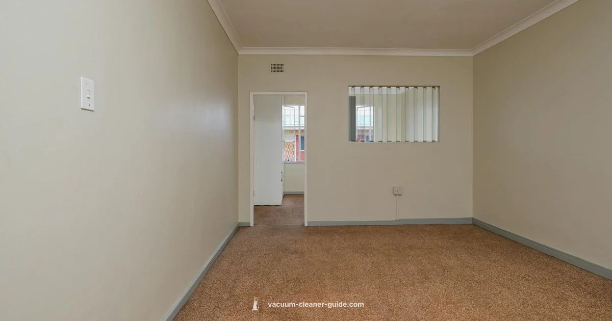 Rent vs Buy Vacuum - Vacuum Cleaner Guide