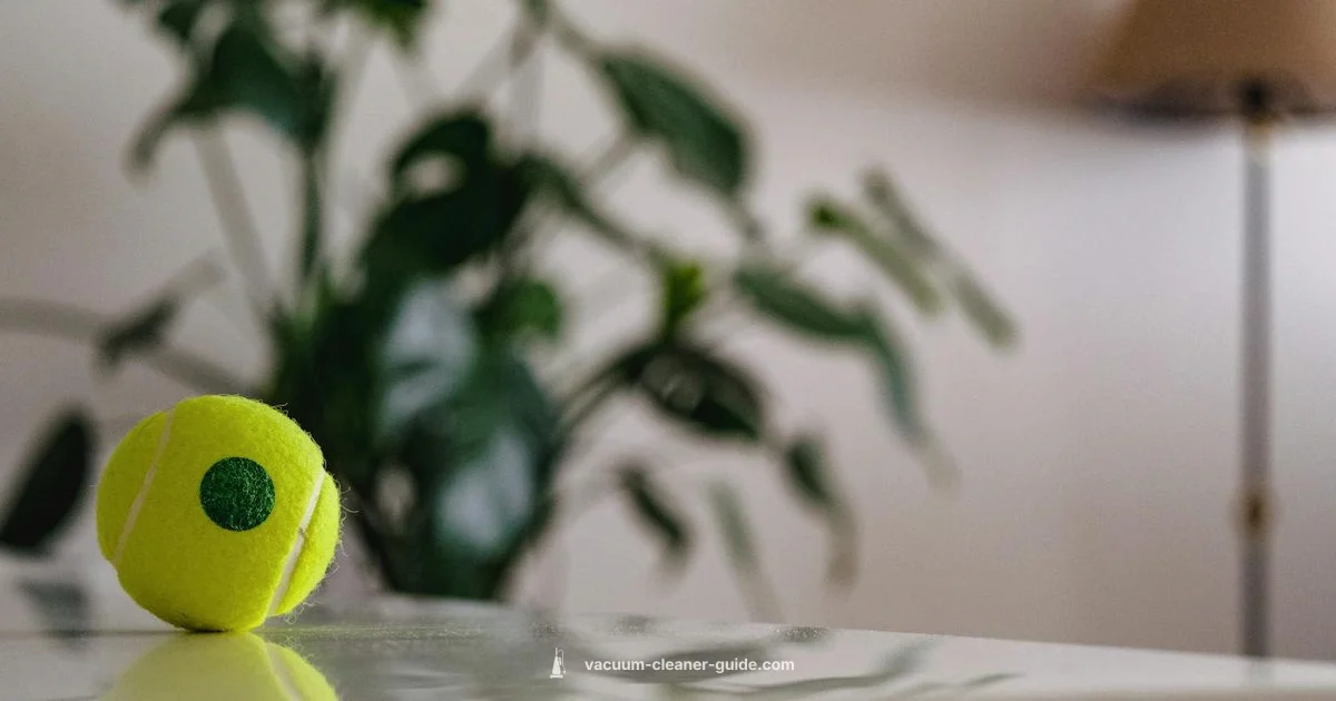 Pet-Hair Power - Vacuum Cleaner Guide