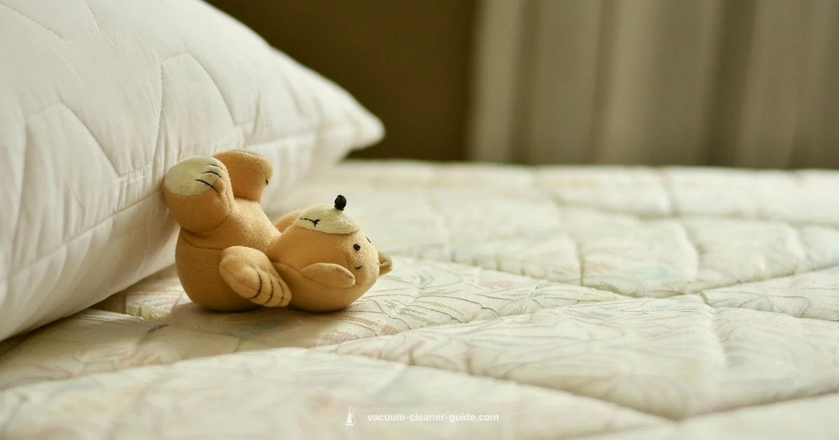 Mattress Cleaning Guide - Vacuum Cleaner Guide