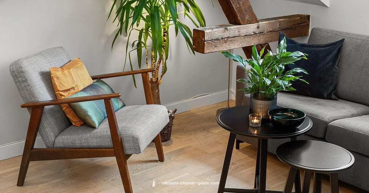 Premium Vacuum Guide - Vacuum Cleaner Guide