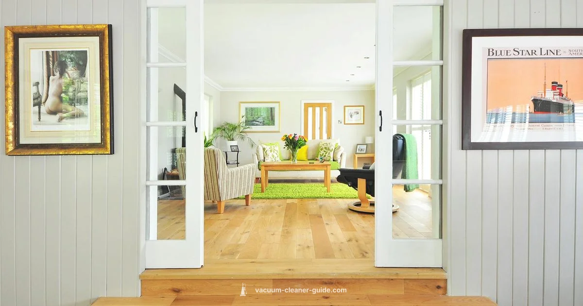 Dyson Detect Review - Vacuum Cleaner Guide