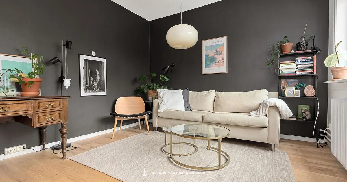 Where to Find Carpet Cleaners - Vacuum Cleaner Guide