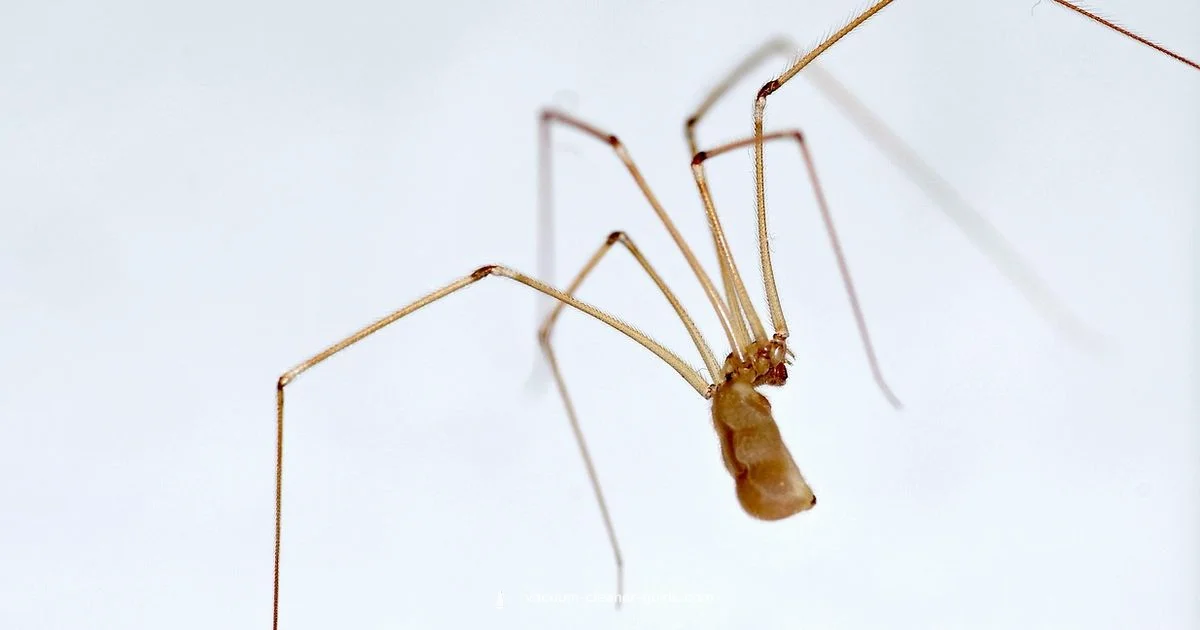 Clean PC Dust - Vacuum Cleaner Guide