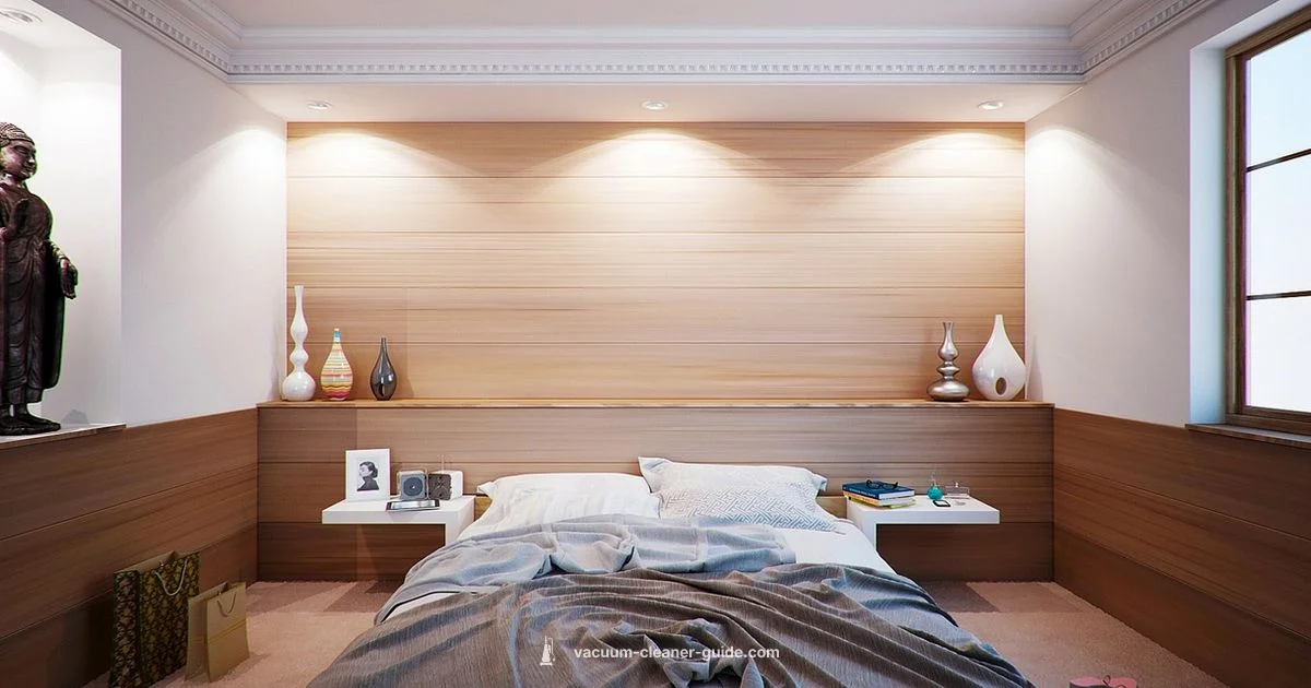 Bed Bug Guide - Vacuum Cleaner Guide