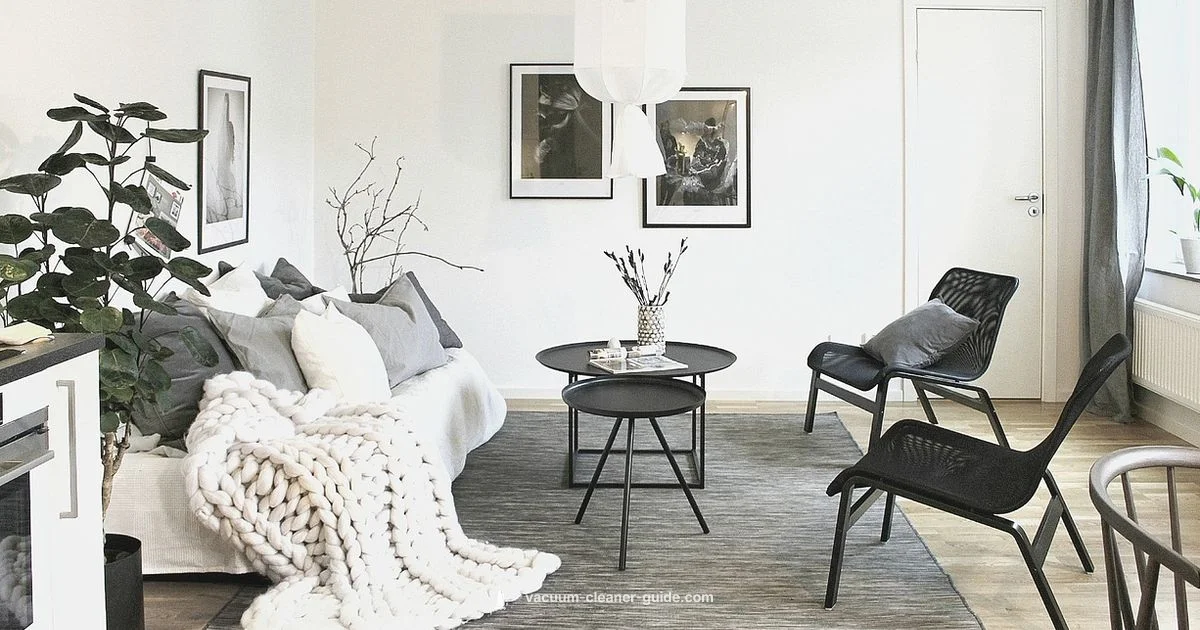 v8 Dyson Review - Vacuum Cleaner Guide