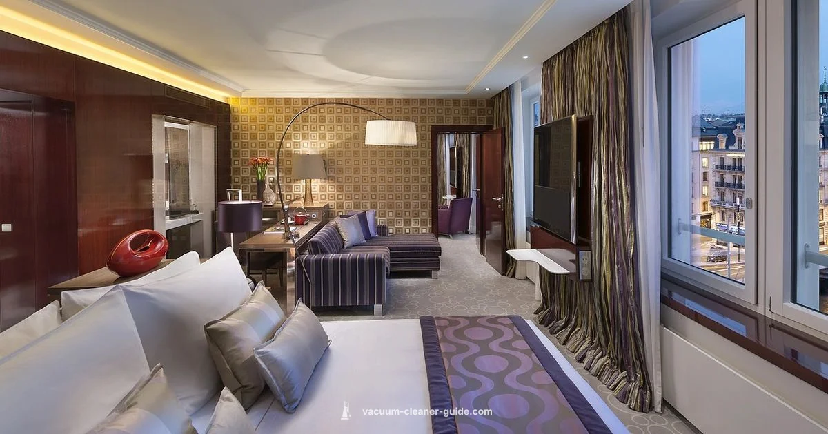 Bagless Dyson Guide - Vacuum Cleaner Guide