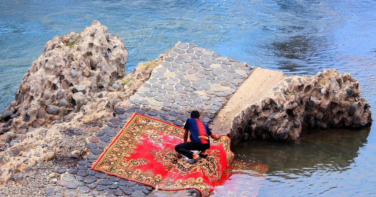 Best Carpet Cleaner Best Carpet Cleaner - Vacuum Cleaner Guide