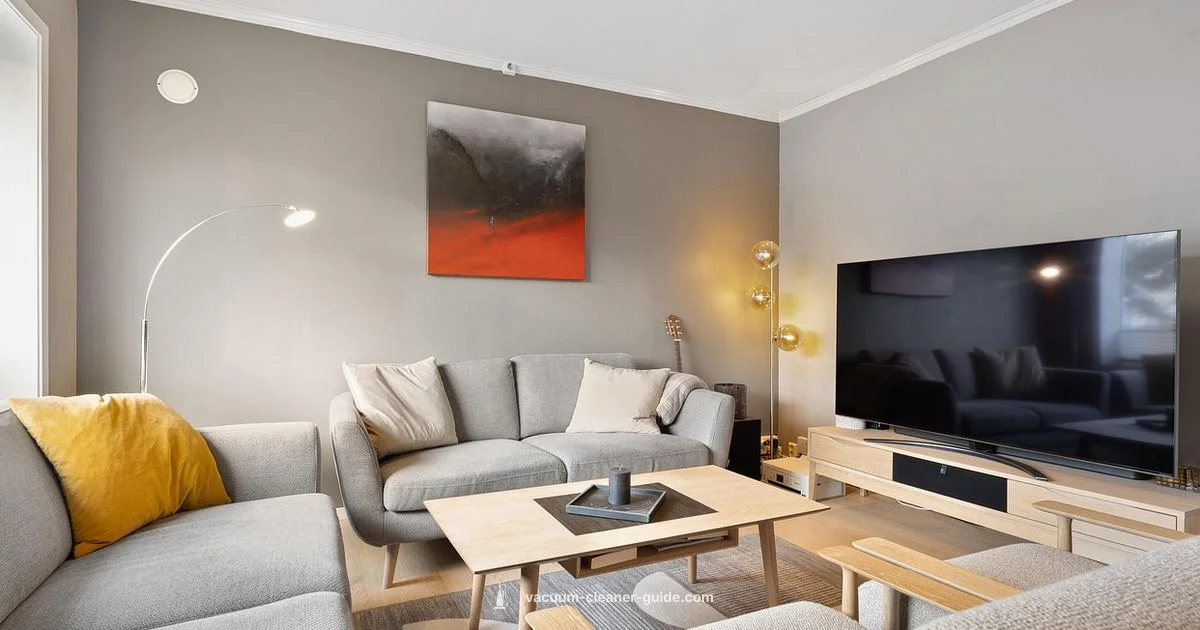 Electrolux Robot Review - Vacuum Cleaner Guide