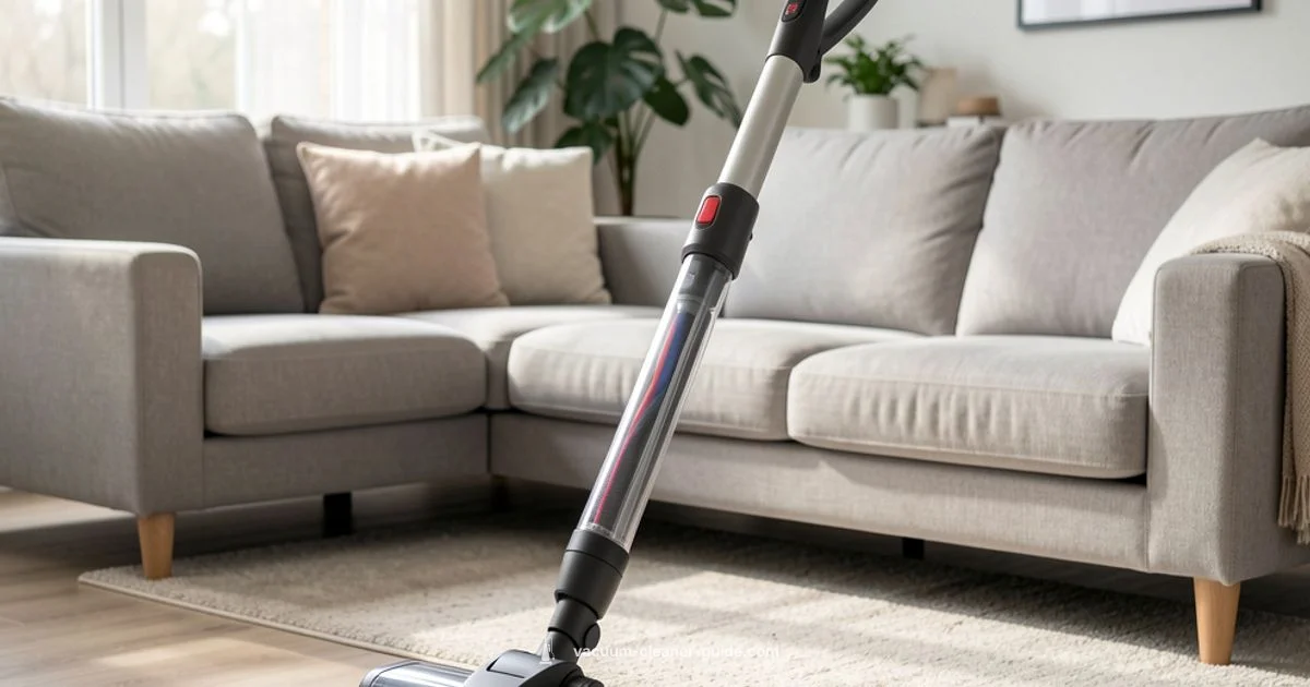 Roller Brush Guide - Vacuum Cleaner Guide