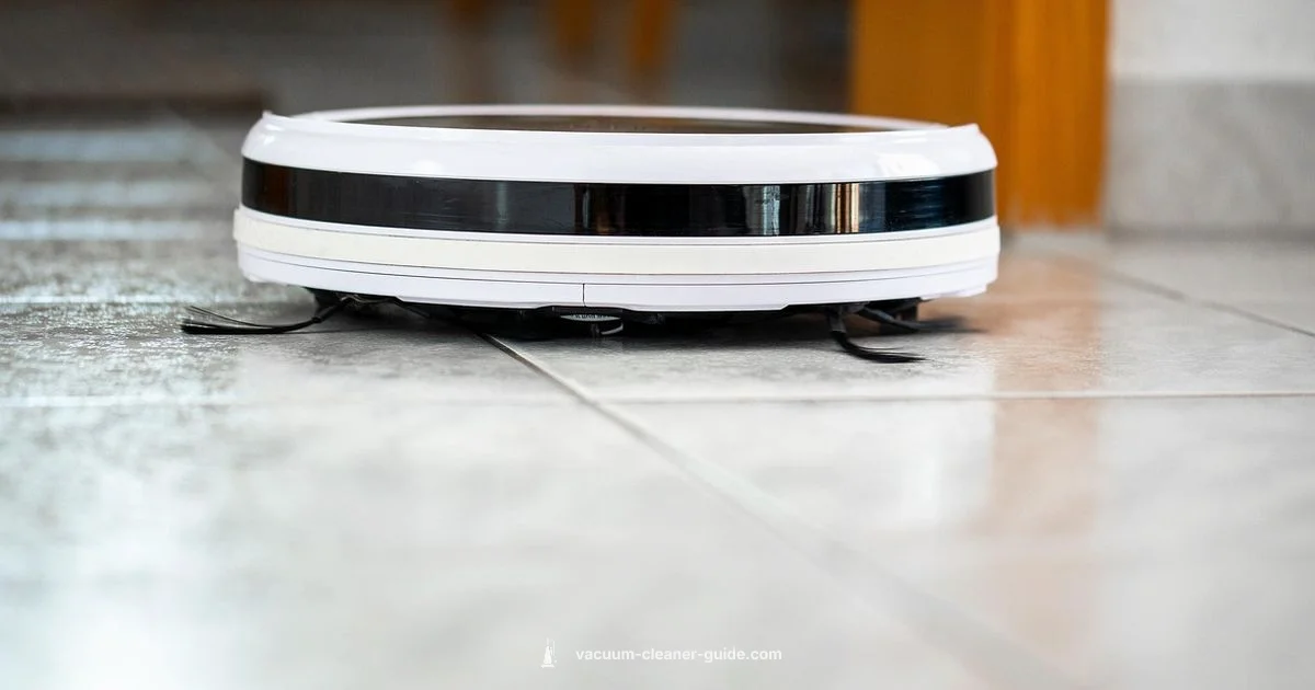 Pet Hair Cleanup Pet Hair Cleanup - Vacuum Cleaner Guide