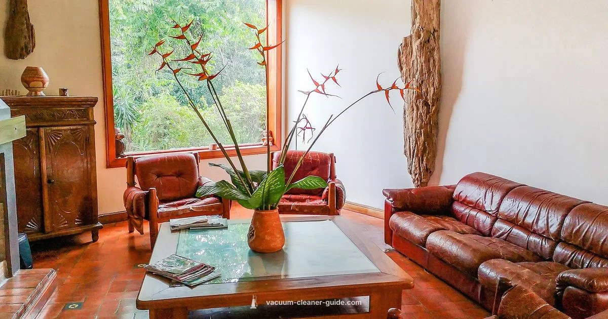 DC07 Review DC07 Review - Vacuum Cleaner Guide