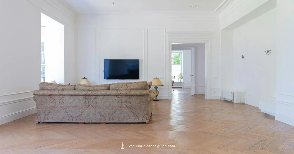 Rainbow on Wood - Vacuum Cleaner Guide