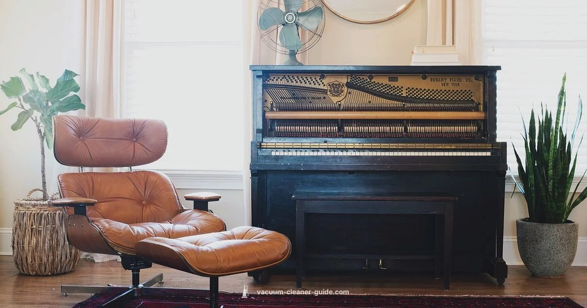 Vacuuming Essentials Guide - Vacuum Cleaner Guide