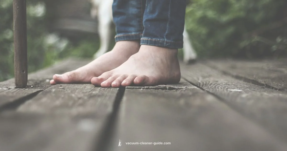 Wood Floor Vacuum Wood Floor Vacuum - Vacuum Cleaner Guide