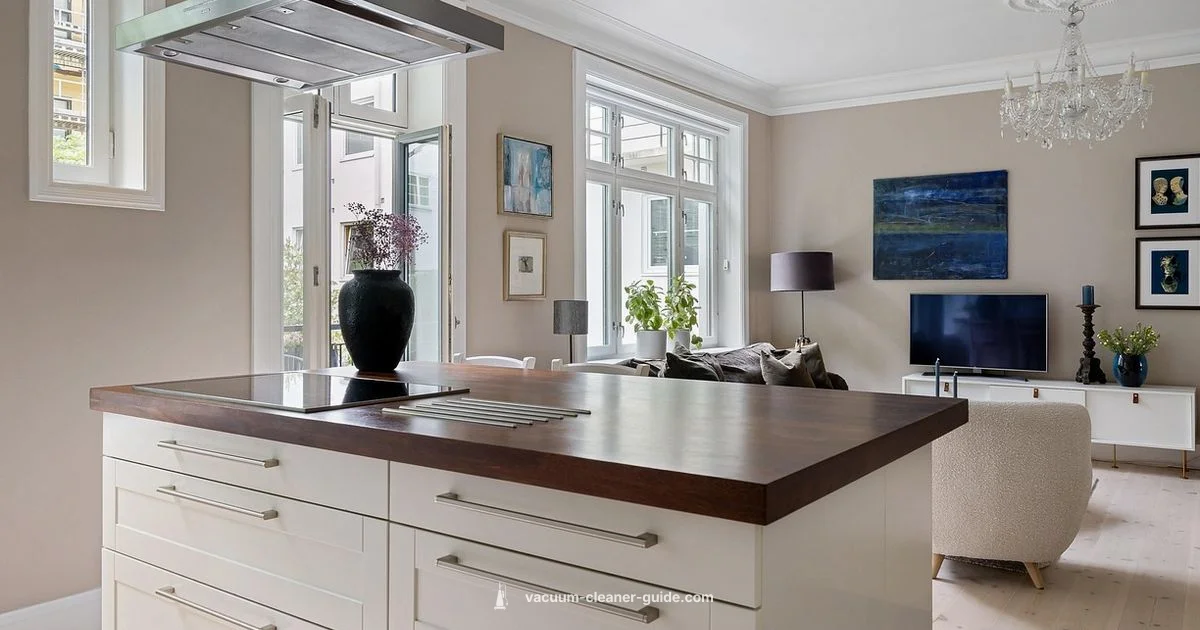 Miele C3 Marin Review - Vacuum Cleaner Guide