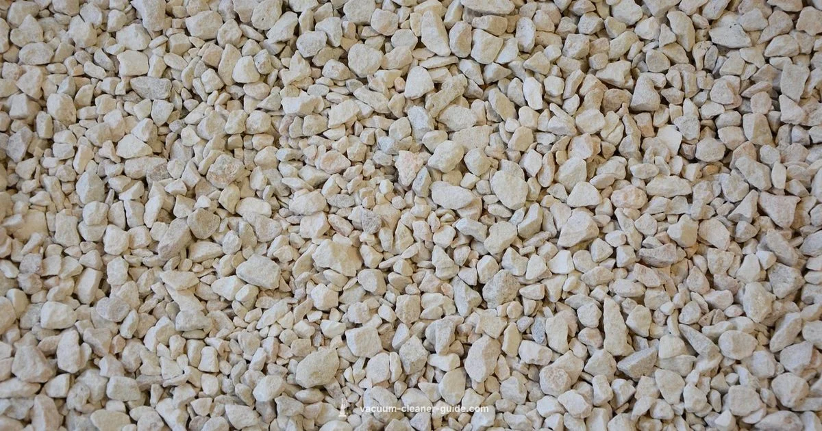 Clear Aquarium Vacuum - Vacuum Cleaner Guide