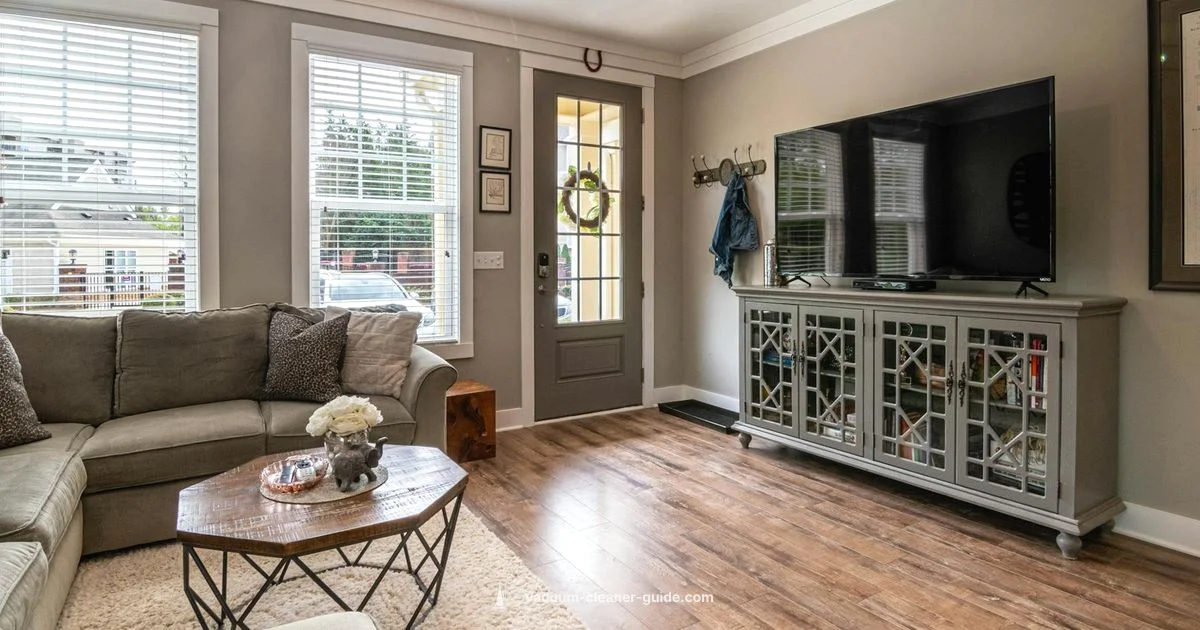 Dyson Ball Review - Vacuum Cleaner Guide