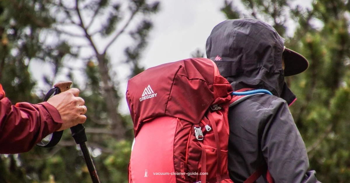 Backpack Vacuum Overview - Vacuum Cleaner Guide