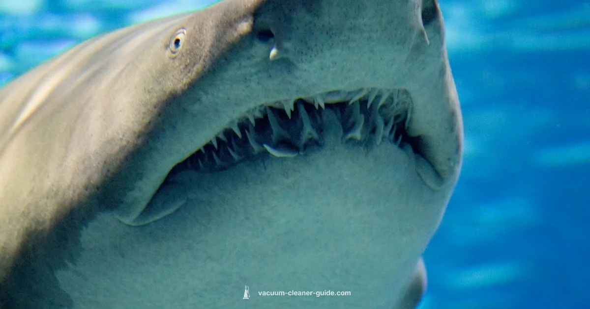 Shark Vacuum Repair - Vacuum Cleaner Guide