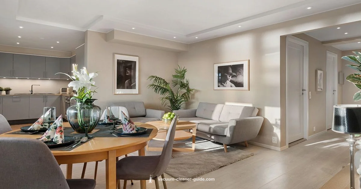 Budget Cordless Picks - Vacuum Cleaner Guide