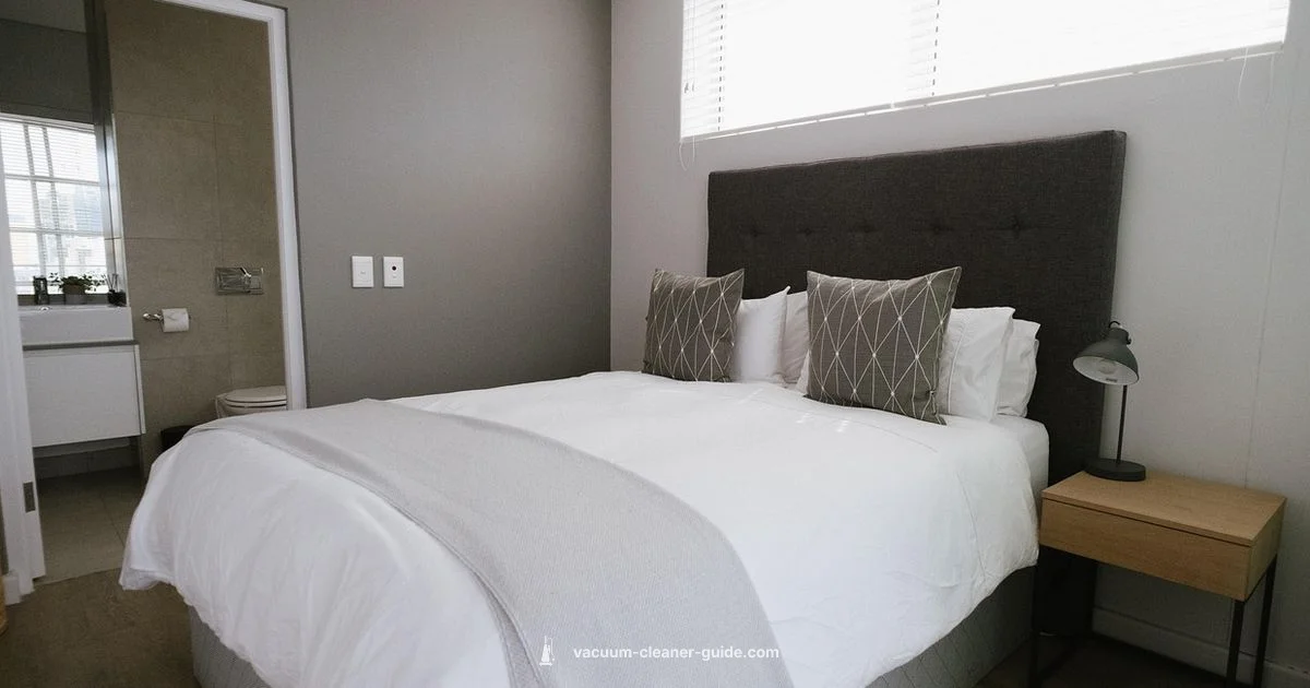 Upholstery Care - Vacuum Cleaner Guide